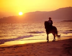 Horse riding on the beach